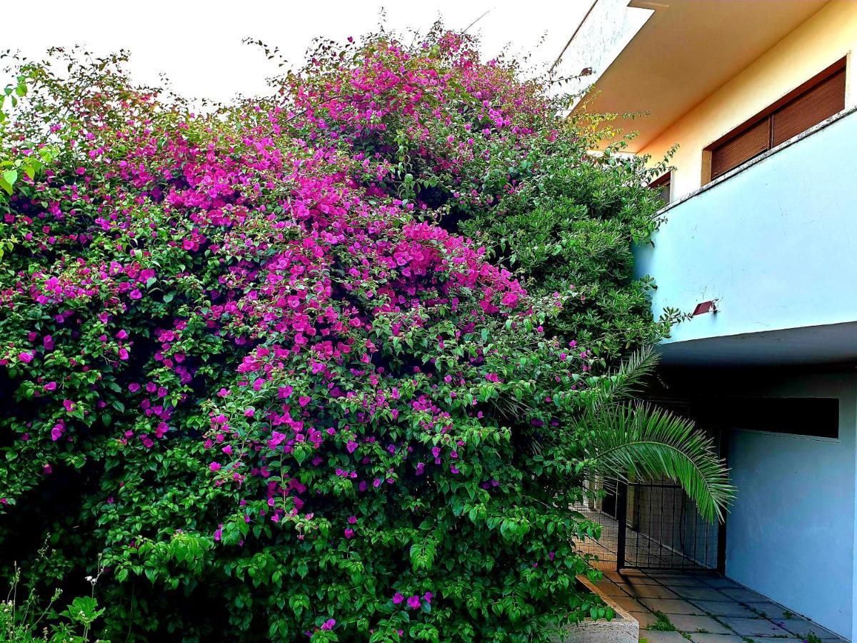 Villa Quiet House Garden Naples-Pompei-Sorrento Trecase Esterno foto