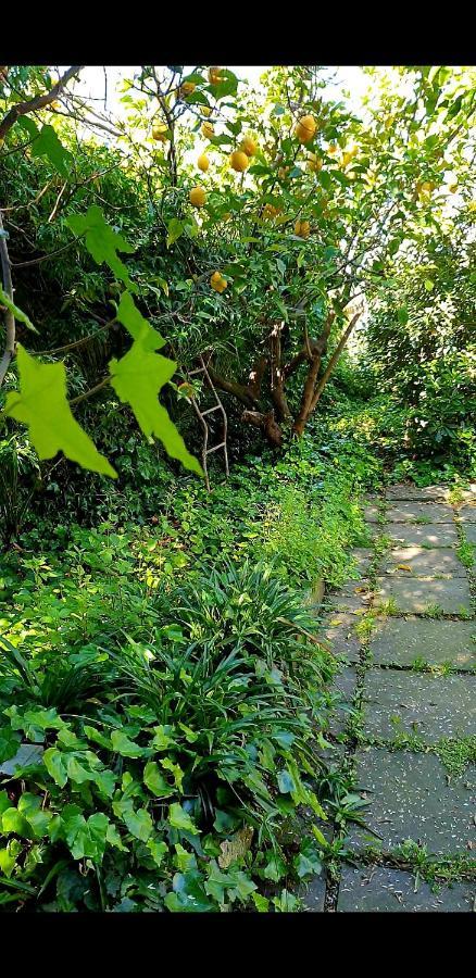 Villa Quiet House Garden Naples-Pompei-Sorrento Trecase Esterno foto